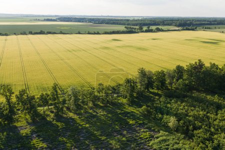 Foto de Vista aérea de los campos de cosecha en Polonia - Imagen libre de derechos