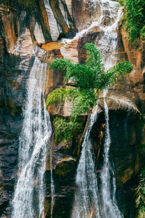 Téléchargez les photos : Majestic waterfall in Caparao, Minas Gerais, Brazil deep in the jungle - en image libre de droit