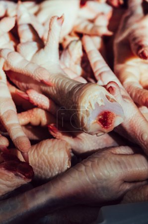 Photo for Chicken feet in street market, to make exotic dishes rich in collagen in Minas Gerais, Brazil - deliberate selective focus - Royalty Free Image