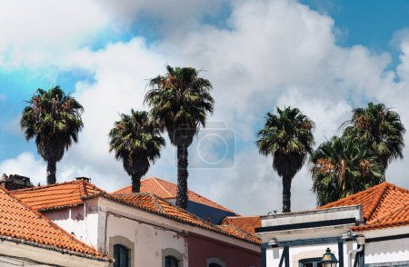 Photo for View of traditional Portuguese architecture with palm trees in Cascais, Portugal on the Portuguese Riveira 30km west of Lisbon - Royalty Free Image