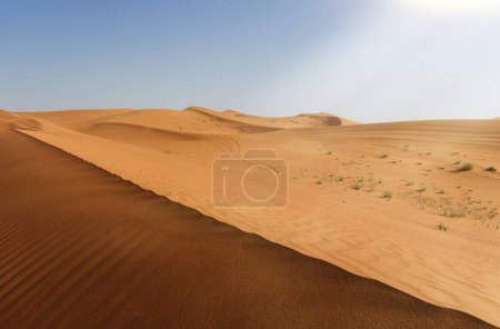 Hypnotic patterns of sand desert in the UAE desert, near Dubai, UAE, Middle East