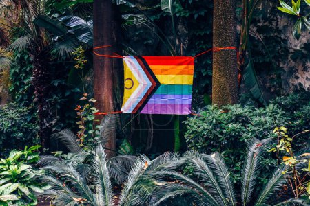 An LGBT Pride flag, including the Progress Pride variant, is displayed amidst thick greenery and palm trees in a tropical garden. The flag is secured with red cords