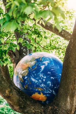 Un globo grande e inflable de la Tierra está enclavado firmemente entre las ramas de un árbol frondoso