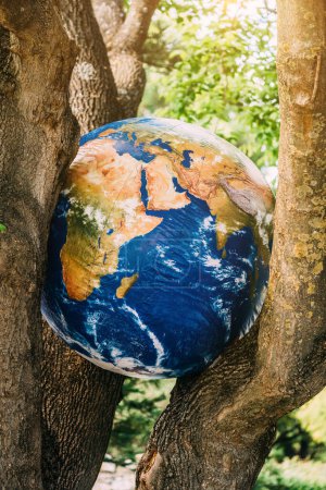 A large, inflatable globe of the Earth is nestled securely among the branches of a leafy tree