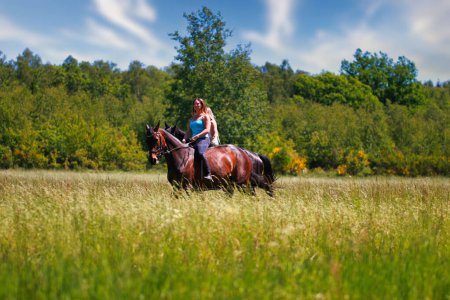 Das Bild zeigt eine junge Frau auf ihrem Pferd auf einer Sommerwiese an einem sonnigen Sommertag. ohne Sattel mit nur einem Zaumzeug geritten, im Hintergrund Wald und blauer Himmel.