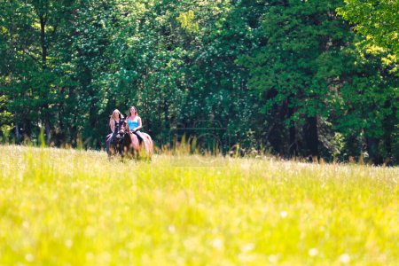 Photo for The picture shows a young woman on her horse in a summer meadow on a sunny summer day. ridden without a saddle with only a bridle, in the background forest and blue sky. - Royalty Free Image