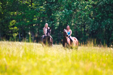 Photo for The picture shows a young woman on her horse in a summer meadow on a sunny summer day. ridden without a saddle with only a bridle, in the background forest and blue sky. - Royalty Free Image