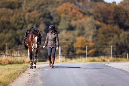 Photo for Young woman walks along a path on a sunny autumn day and leads her horse for a ride. Dressed in riding clothes and horse ready saddled. Photo in landscape format with autumn forest in the background. - Royalty Free Image