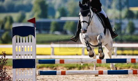 Photo for The picture shows a horse jumping horse in motion during a tournament as a close-up, color image with space for text. Sunny day in spring. - Royalty Free Image
