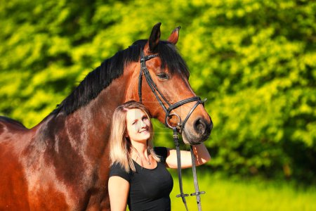 Photo for Horse with young woman in portraits, in the sunshine in the wild. Isolated against a blurred green background. - Royalty Free Image