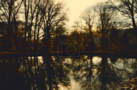 Foto de Coloridos árboles de hoja ancha reflejados en la superficie del agua a la luz del día de otoño / otoño, cielo, parque, estanque. República Checa, Europa. - Imagen libre de derechos