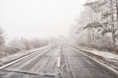 Foto de Camino de asfalto húmedo vacío recto durante las condiciones de niebla, esmalte árboles cubiertos de hielo, línea media blanca. Mal tiempo. - Imagen libre de derechos