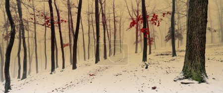 Foto de Bosque nevado cubierto de hielo esmaltado y rima. Niebla, robles, hojas rojas, bosques, paisaje invernal. Se puede utilizar como imagen panorámica de Navidad. República Checa, Europa. - Imagen libre de derechos