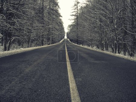 Photo for Straight dark asphalt road after snowfal among snow covered trees, winter, snow, frost, white middle line. bad weather.  Can be also used to express  remoteness,endlessness,hopelessness , bad mood - Royalty Free Image