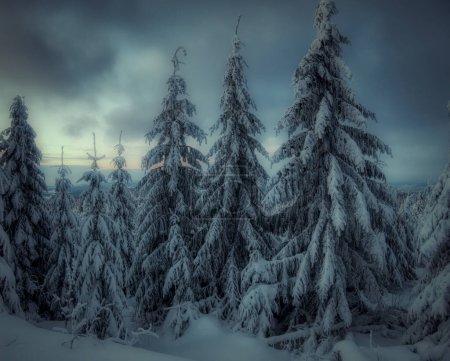 Winterliche Schneelandschaft mit frisch verschneiten Bäumen, Himmel, Reif und Bergwald an einem sonnigen Wintertag. Tschechische Republik. 