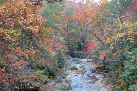 Foto de Wolf Creek, Parque Nacional New River Gorge, Virginia Occidental - Imagen libre de derechos