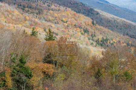 Foto de Color de otoño en el alto país sobre el valle del río Williams, Parque Nacional New River Gorge, Virginia Occidental - Imagen libre de derechos