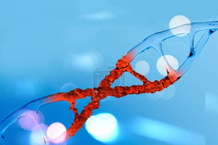 Téléchargez les photos : Structure de l'ADN perturbée hélice, acide désoxyribonucléique, molécules d'acide nucléique, recherche sur le génome humain, perturbation des connexions neuronales, science du développement, information, changement chromosomique, rendu 3d - en image libre de droit