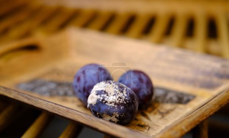 Photo for Close-up of blueberry, black berries covered with gray, white fluffy mold, concept mold fungi on surface products, spore contamination food, mycotoxins affect people's health, rotting food - Royalty Free Image