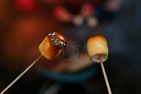 Photo for Burning fire in compact grill, wood logs engulfed in red flames, closeup of fry marshmallows on fire, smoke rises, concept of fun party, happy childhood, family activity, cooking delicacy outdoors - Royalty Free Image