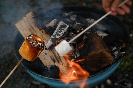 Photo for Burning fire in compact grill, wood logs engulfed in red flames, closeup of fry marshmallows on fire, smoke rises, concept of fun party, happy childhoodfamily activity, cooking delicacy outdoors - Royalty Free Image
