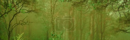 Photo for Blurred mysterious jungle landscape, deciduous rainforest, tropical trees, panorama, mystical background for designer, concept getting lost in poor visibility, nature protection, ecological balance - Royalty Free Image