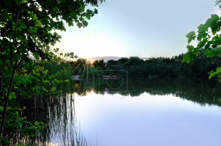Photo for Evening landscape with forest lake, river, line of trees is reflected in water, blue sky is reflected in calm water surface, mysterious mystical landscape, mystical, background for designer - Royalty Free Image