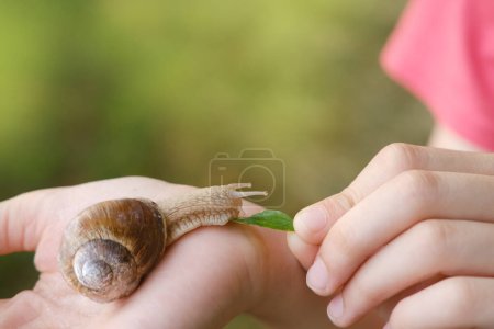 belle escargot de raisin assis sur la main de l'enfant, enseigner aux enfants sur la nature, l'importance de l'éducation à l'environnement et d'initier les enfants aux merveilles du monde naturel