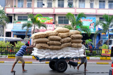 Foto de Conductor de rickshaw de Sri Lanka que transporta numerosos sacos de comestibles sobre tuk-tuk, disparidades económicas y mano de obra de bajos salarios en ciertas regiones, Colombo - 9 de noviembre de 2022 - Imagen libre de derechos