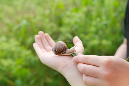 child's hand becomes playground for curious grape snail, mollusk sitting on hand, Teaching Children About Nature, Small Wonders Garden, highlighting fascination of tiny creatures in surroundings