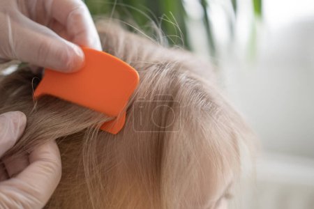 Photo for Close-up child's head with female hands searching for lice and nits in hair, combing through with orange comb for removal, Pediculosis - Royalty Free Image