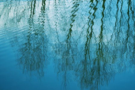 Téléchargez les photos : Scène envoûtante lac ou étang avec des reflets ondulés branches d'arbres dans l'eau ondulante, tandis que les ondulations ajoutent mouvement tactile et le dynamisme, ombre sur l'eau, vidéo tranquille, méditation et détente - en image libre de droit