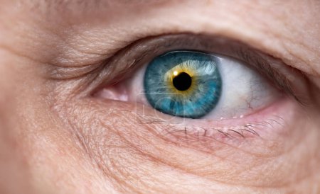 close-up mature female eye looking to side, concept of patient care, wrinkles around eyes, upper eyelid, vision check, hyperopia correction, health science