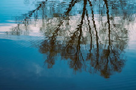 Téléchargez les photos : Scène envoûtante lac ou étang avec des reflets ondulés branches d'arbres dans l'eau ondulante, ciel bleu crée le sens de tranquillité et de paix, tandis que les ondulations ajoutent mouvement tactile et le dynamisme, tranquille - en image libre de droit