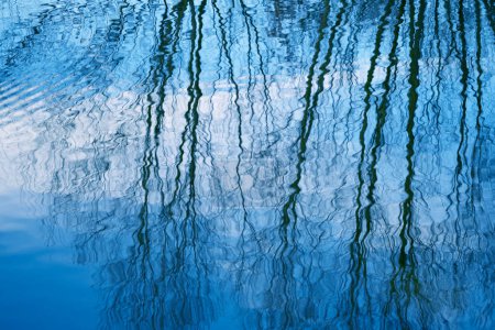 Téléchargez les photos : Scène envoûtante lac ou étang avec des reflets ondulés branches d'arbres dans l'eau ondulante, ciel bleu crée le sens de tranquillité et de paix, tandis que les ondulations ajoutent mouvement tactile et le dynamisme, tranquille - en image libre de droit