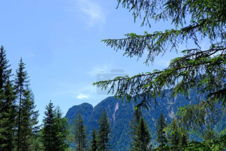 Malerische Aussicht grüne alpine Berge mit schroffen Schluchten, Gebirgskette in Europa, anspruchsvolles Gelände, Bild atemberaubende inhärente Schönheit natürliche Welt, unberührt vom Menschen