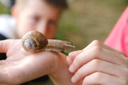 beautiful grape snail sitting on child's hand, Teaching Children About Nature, boys study shellfish, importance of environmental education and connection between children and natural world