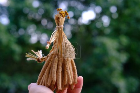 female hands holds ritual doll made of straw, grass in honor rich harvest, scarecrow for fertility, old toy, amulet for children, women, pagan folk art harvesting, ritual symbolic disguised character