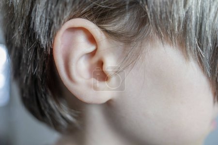 Detailaufnahme Kinderohr, komplexe Struktur menschliches Hörorgan, Ohranatomie, Hörwahrnehmung, Schallempfindlichkeit