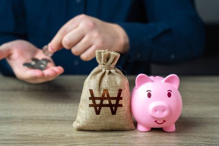 Photo for Savings management. Pig piggy bank and South Korean won money bag. Banks and finance. Investments, fundraising. Savings and accumulation of funds from cutting expenses. - Royalty Free Image