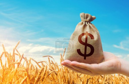 Sac d'argent en dollars sur le fond des épis de blé sur un champ agricole. Sécurité alimentaire. Commerce et transport du grain. Industrie agricole. Prix mondiaux des denrées alimentaires et des céréales.