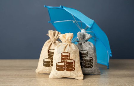 Bags of money under an umbrella. Safety of investments. Capital security, funds insurance.
