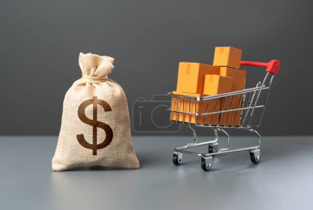 Supermarket cart with boxes of goods and dollar money bag. Purchasing power of buyers. Profit from the sale of goods. Start-up capital and equipment purchase. Marketing and market research.