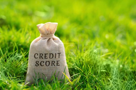 Credit Score Konzept. Numerische Darstellung der Kreditwürdigkeit einer Person, die von Kreditgebern verwendet wird, um das Risiko zu bewerten, dieser Person Geld zu leihen. Geldsack auf dem Gras