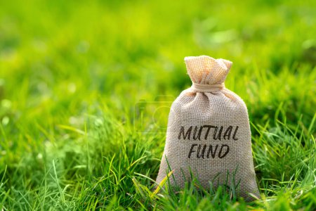 Mutual fund in a money bag. Portfolio of stocks, bonds, or other securities purchased with the pooled capital of investors. Business and finance concept