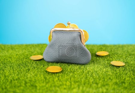 Geldbörse mit Münzen auf dem Rasen. Sparen und Geld sparen. Geld sparen, investieren. Sammeln für den Ruhestand.