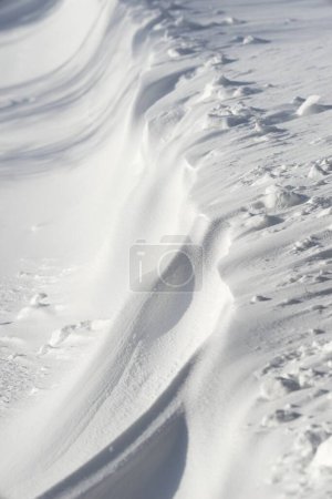 Téléchargez les photos : Fond de texture de neige, gros plan d'un champ neigeux - en image libre de droit