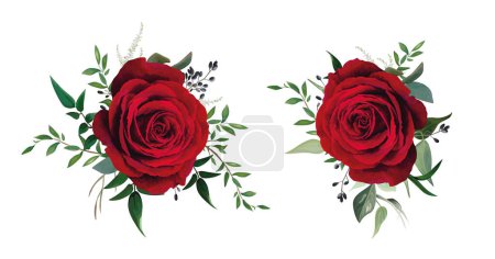 Illustration for Red rose, burgundy flower with greenery leaves. Vector, watercolor, editable illustration. Floral decorative set isolated on white background. Elegant wedding invite, greeting, party designer elements. Hand drawn botanical blossom bunch - Royalty Free Image
