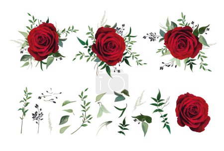 Illustration for Red rose flower, greenery eucalyptus, vine green leaves, berry branches vector watercolor illustration. Big editable designer elements set with floral bouquets. Greeting, wedding invite, print pattern. Editable hand drawn art - Royalty Free Image