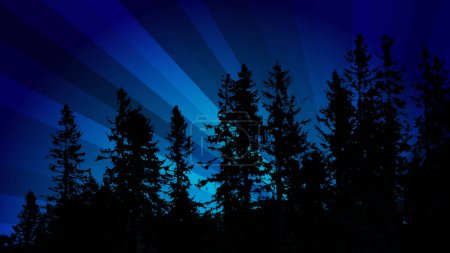 Foto de Vista nocturna del bosque y los árboles - Imagen libre de derechos